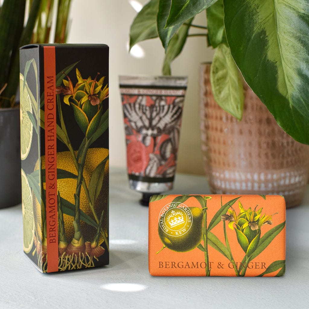 Bergamot & Ginger Hand Cream & Soap Bundle - Royal Kew Gardens - Image 2