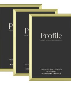 Habitat Gold Metal Frame Value Pack 4x6 (3 pack bundle)