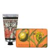 Bergamot & Ginger Hand Cream & Soap Bundle - Royal Kew Gardens